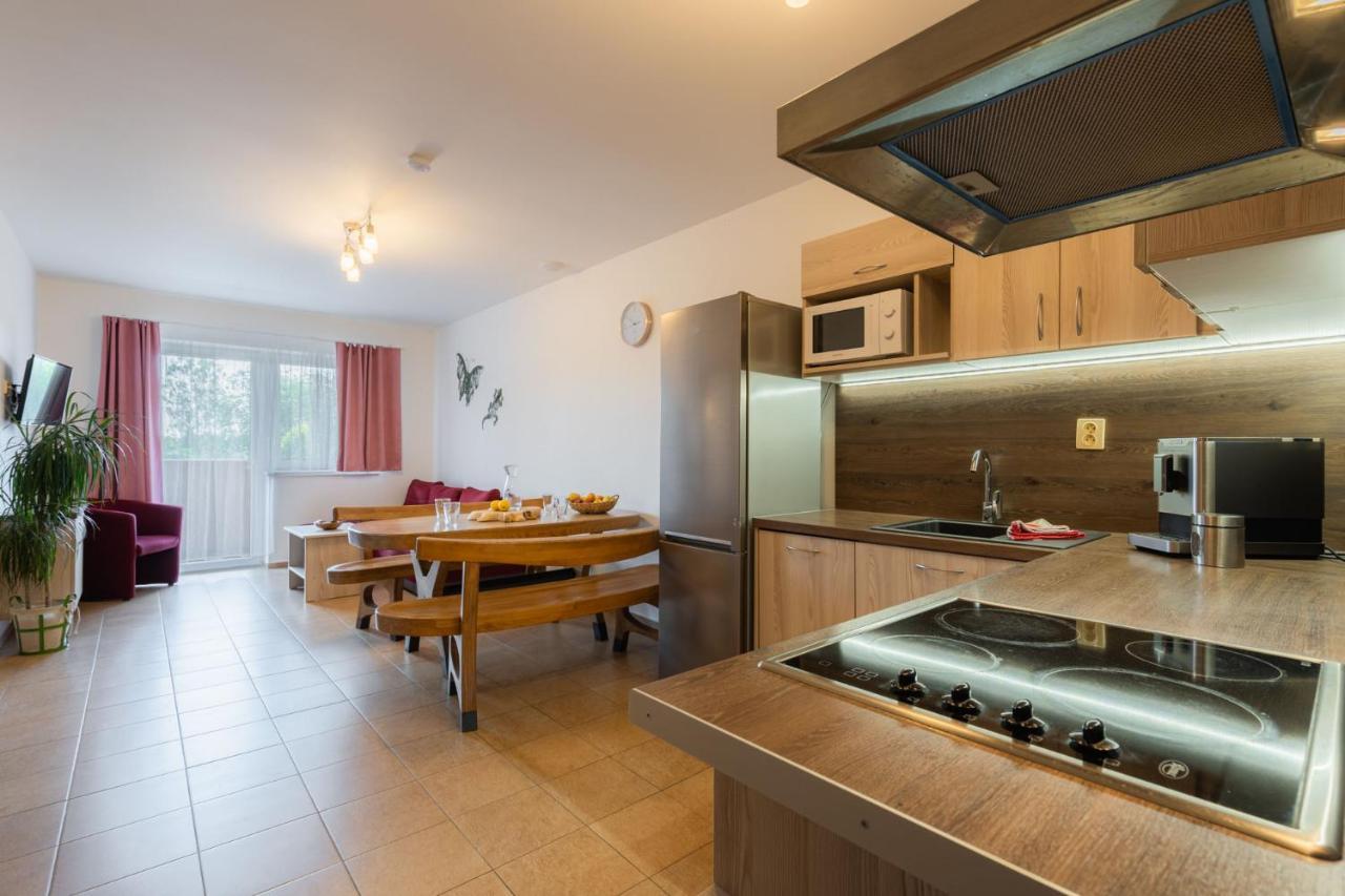 Apartments Nad Rybniky Horní Planá Extérieur photo
