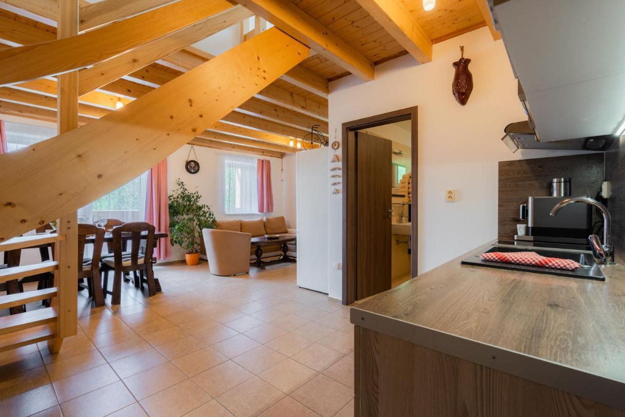 Apartments Nad Rybniky Horní Planá Extérieur photo